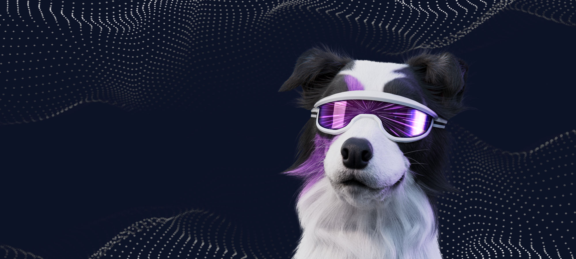 spark the dog in the background wearing VR glasses